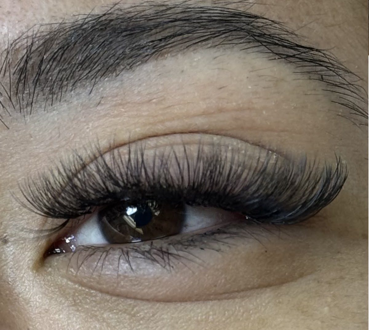 Lashtastic by Hana