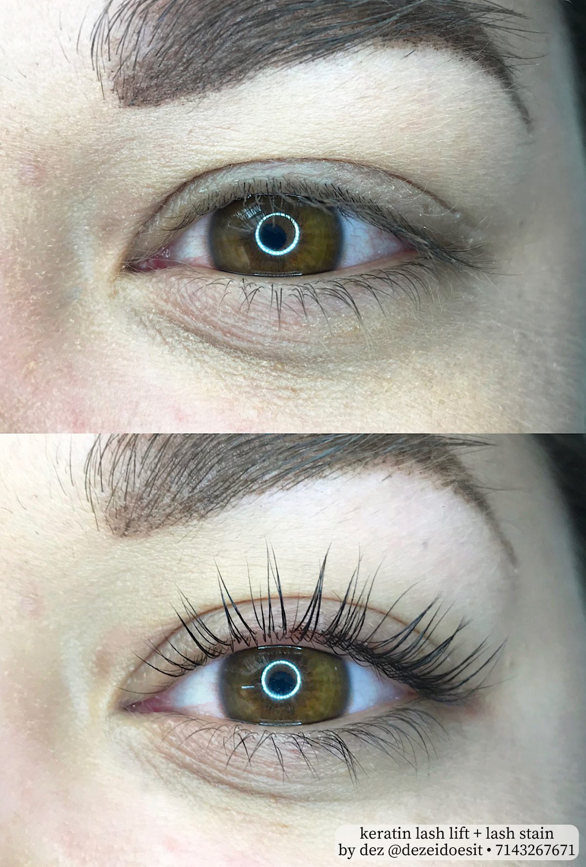 Lash & Brow Beauty Haus